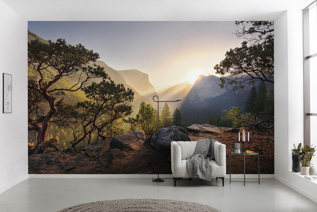Mountain　Meditation　Mural:　Forest　Landscape　Wallpaper　Homes