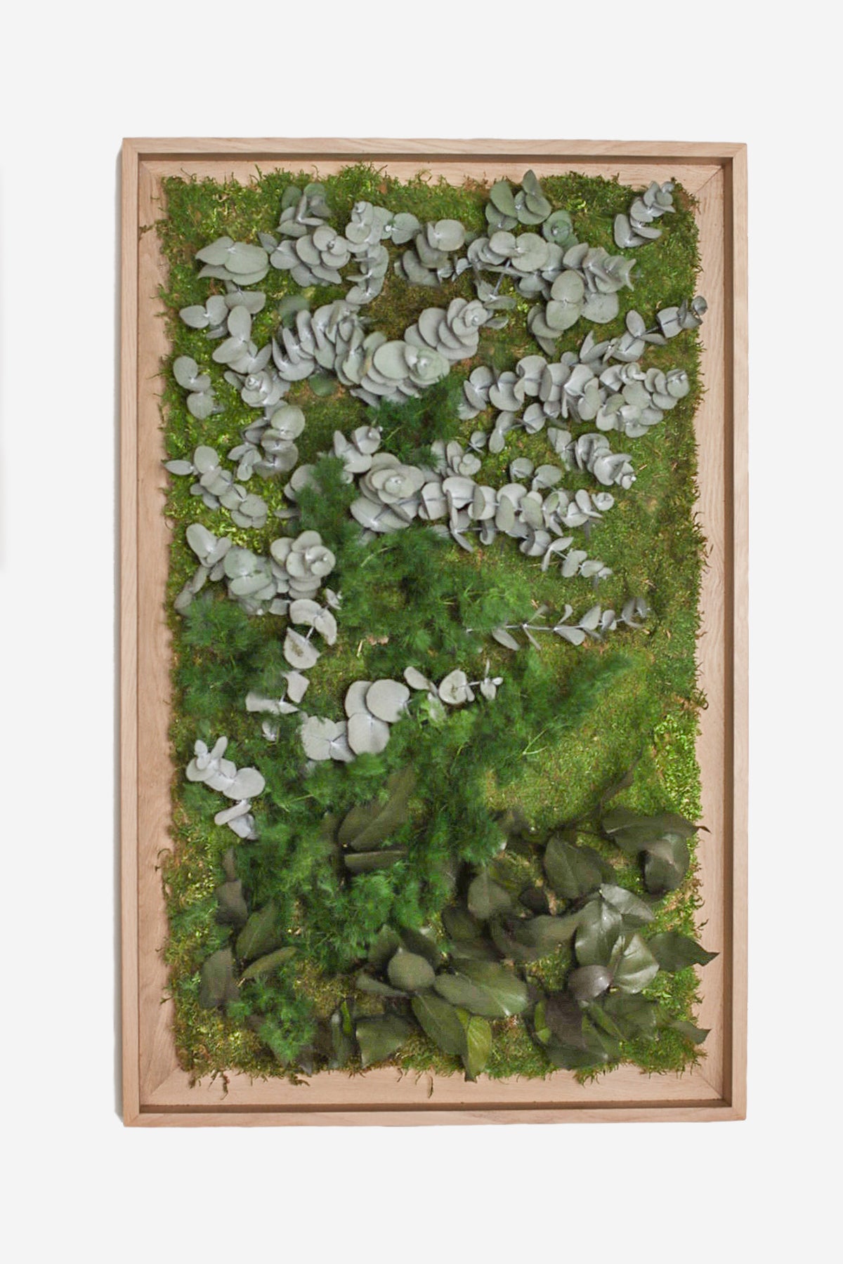 Textured Plant Framed Moss Wall Art | Forest Homes