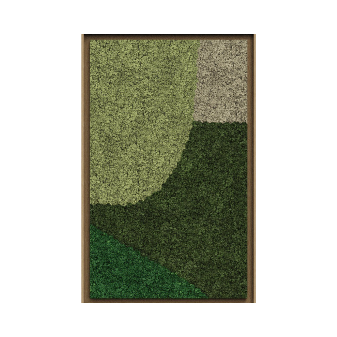 Synergy Framed Moss Art (Series C)