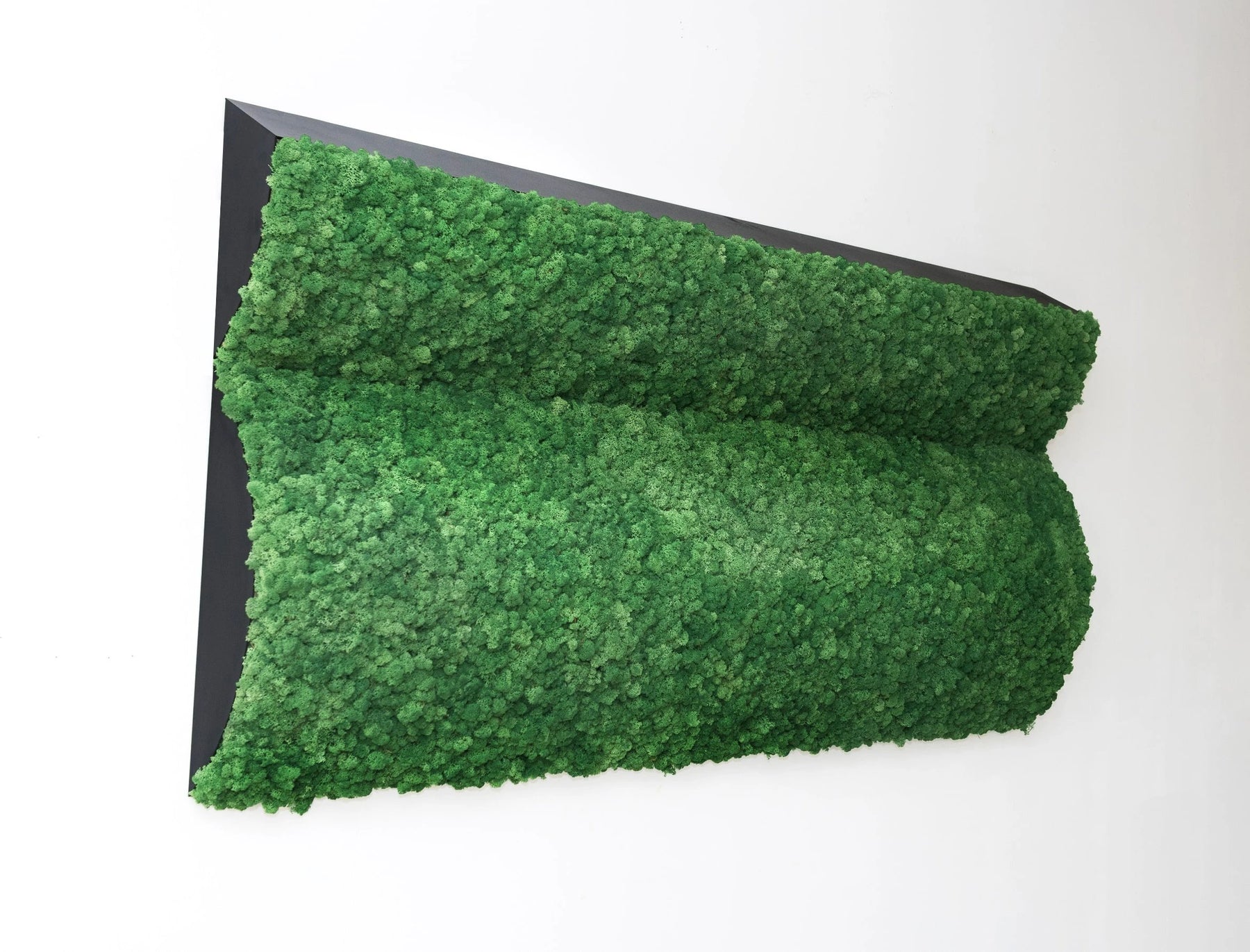 Moss & Plant Pillars: Moss 3D Wall Designs