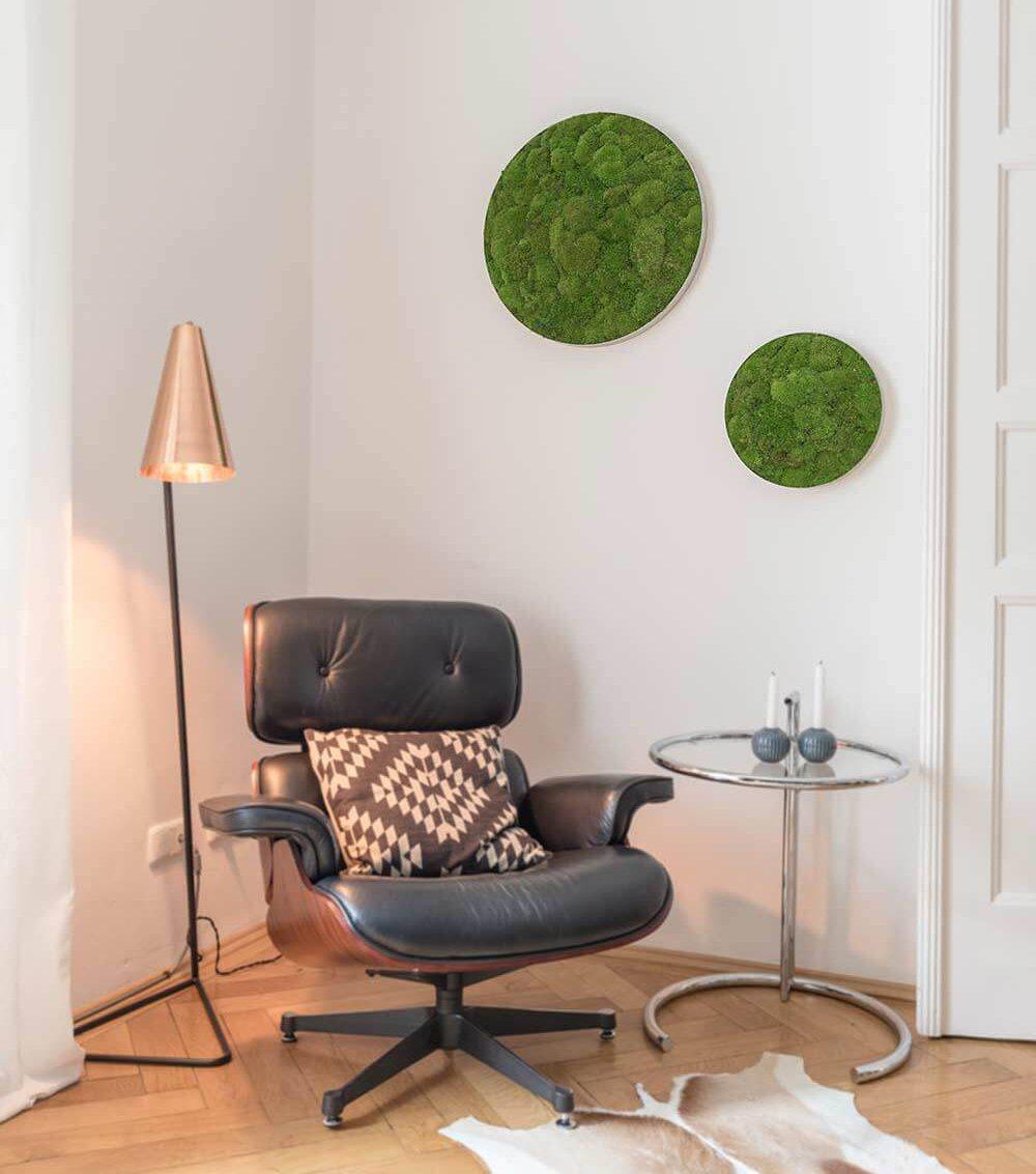 Circle Frame/living Moss Wall Art/nature Room Decor/ Circle Moss